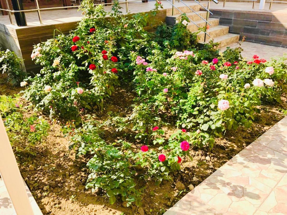 Мини-Отель Кристалл Tsandrypsh Exterior foto